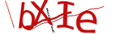 Enter the character string shown in the picture